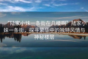 “陸家小妹一條街在幾樓啊”陸家小妹一條街，探尋繁華中的獨特風情與神秘樓層