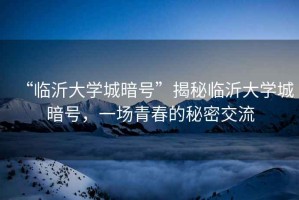“臨沂大學城暗號”揭秘臨沂大學城暗號，一場青春的秘密交流