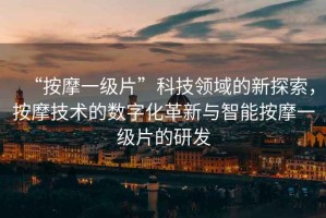 “按摩一級片”科技領域的新探索，按摩技術的數字化革新與智能按摩一級片的研發