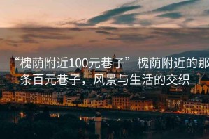 “槐蔭附近100元巷子”槐蔭附近的那條百元巷子，風景與生活的交織