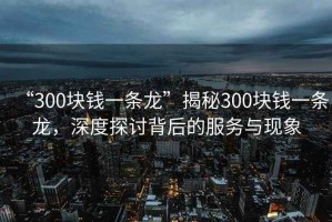 “300塊錢一條龍”揭秘300塊錢一條龍，深度探討背后的服務與現象