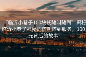 “臨沂小巷子100塊錢隨叫隨到”揭秘臨沂小巷子神秘的隨叫隨到服務，100元背后的故事