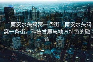 “南安水頭雞窩一條街”南安水頭雞窩一條街，科技發展與地方特色的融合