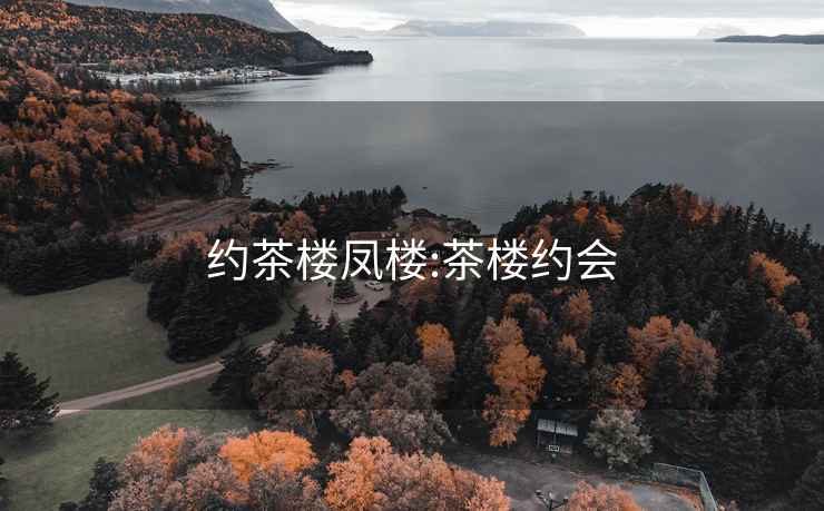 約茶樓鳳樓:茶樓約會(huì)