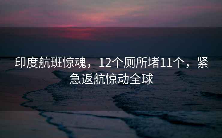 印度航班驚魂，12個廁所堵11個，緊急返航驚動全球