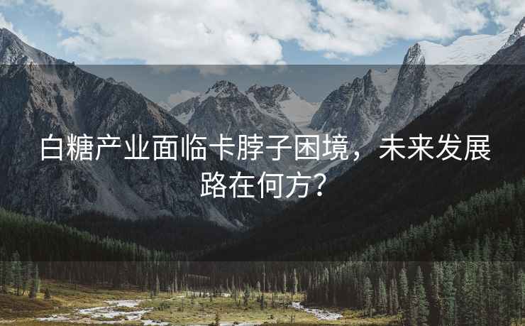 白糖產(chǎn)業(yè)面臨卡脖子困境，未來(lái)發(fā)展路在何方？