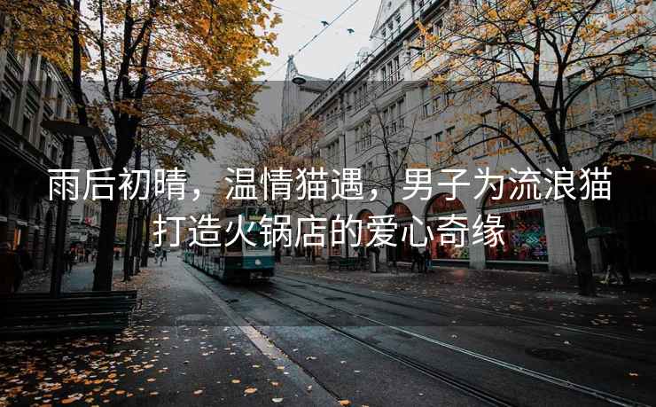 雨后初晴，溫情貓遇，男子為流浪貓打造火鍋店的愛心奇緣