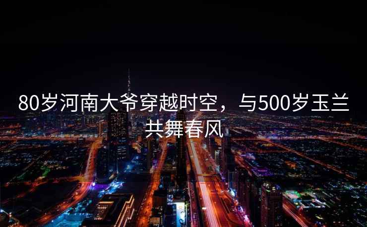 80歲河南大爺穿越時空，與500歲玉蘭共舞春風