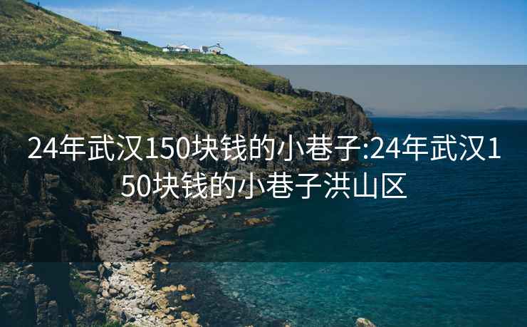 24年武漢150塊錢的小巷子:24年武漢150塊錢的小巷子洪山區