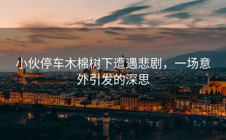 小伙停車木棉樹下遭遇悲劇，一場意外引發的深思