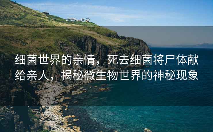 細菌世界的親情，死去細菌將尸體獻給親人，揭秘微生物世界的神秘現象