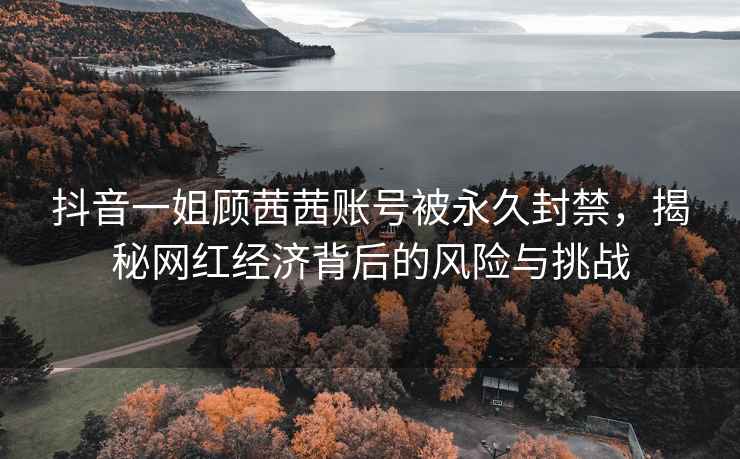 抖音一姐顧茜茜賬號被永久封禁，揭秘網(wǎng)紅經(jīng)濟背后的風(fēng)險與挑戰(zhàn)