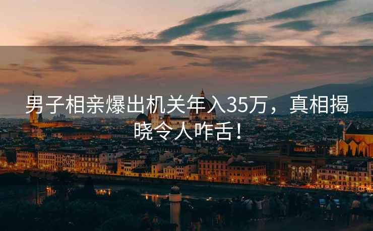 男子相親爆出機關年入35萬，真相揭曉令人咋舌！