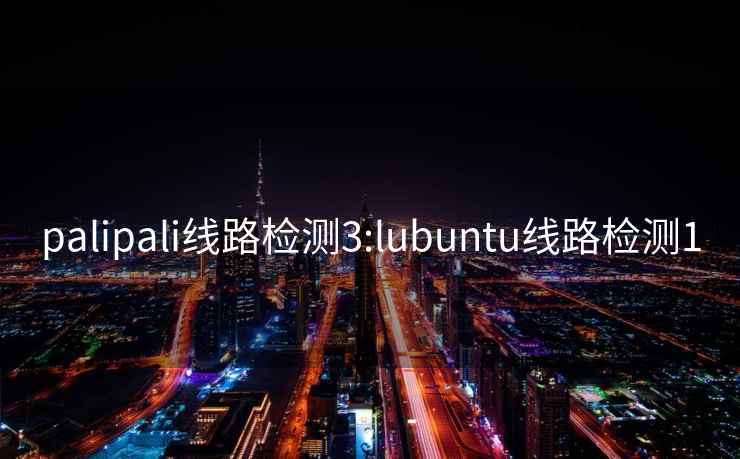 palipali線路檢測3:lubuntu線路檢測1