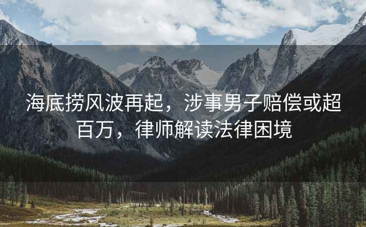 海底撈風(fēng)波再起，涉事男子賠償或超百萬，律師解讀法律困境