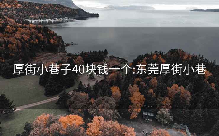 厚街小巷子40塊錢一個:東莞厚街小巷