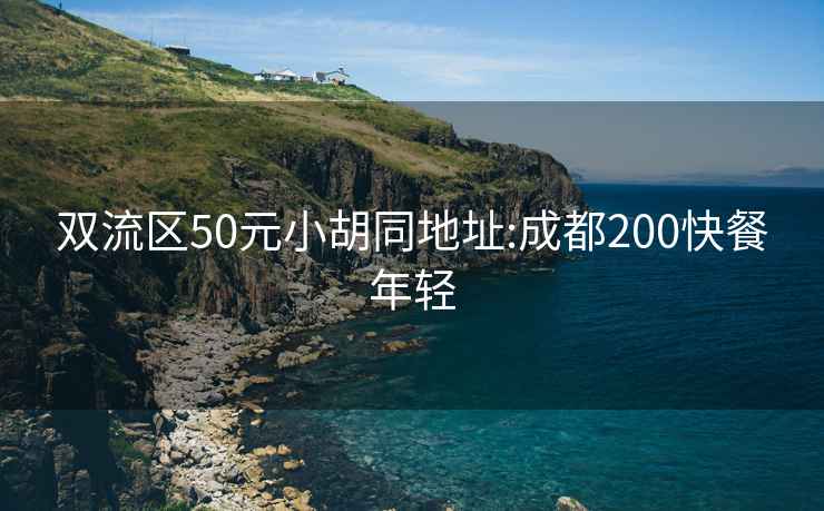 雙流區50元小胡同地址:成都200快餐年輕