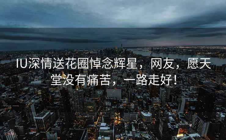 IU深情送花圈悼念輝星，網(wǎng)友，愿天堂沒有痛苦，一路走好！