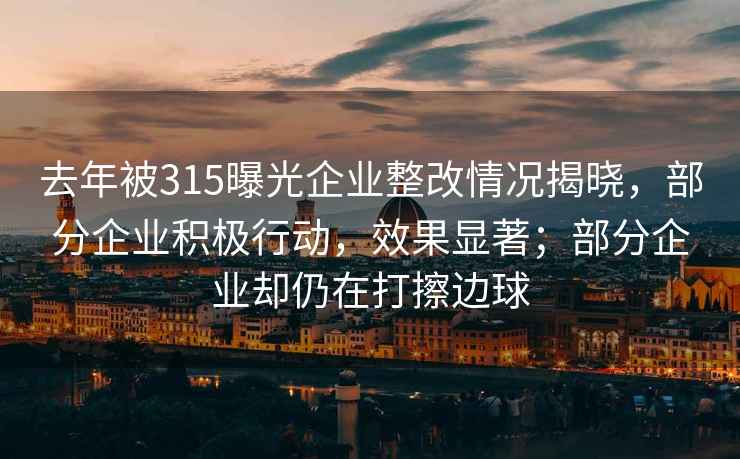 去年被315曝光企業整改情況揭曉，部分企業積極行動，效果顯著；部分企業卻仍在打擦邊球