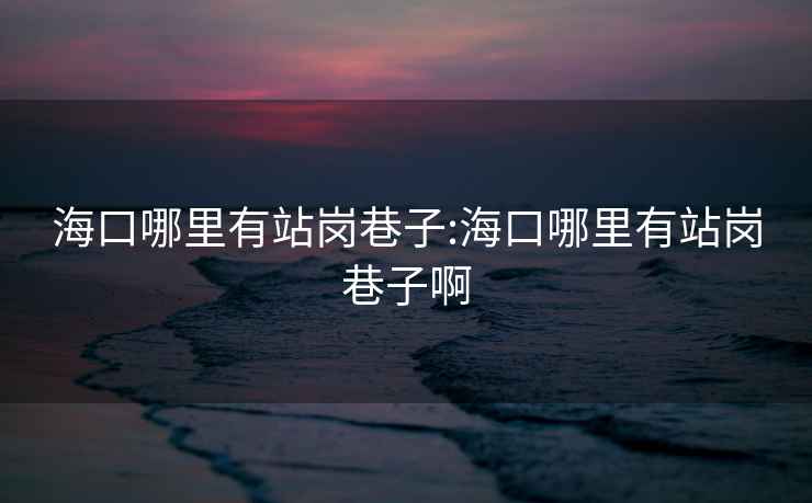 海口哪里有站崗巷子:海口哪里有站崗巷子啊