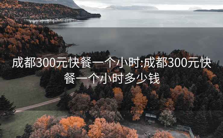 成都300元快餐一個小時:成都300元快餐一個小時多少錢