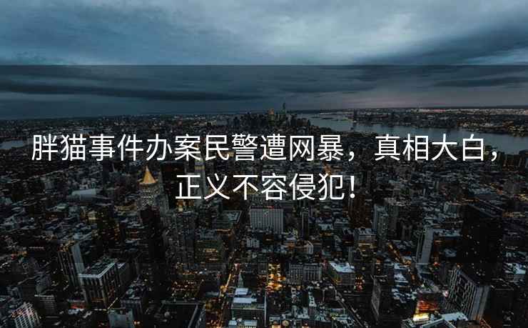胖貓事件辦案民警遭網暴，真相大白，正義不容侵犯！