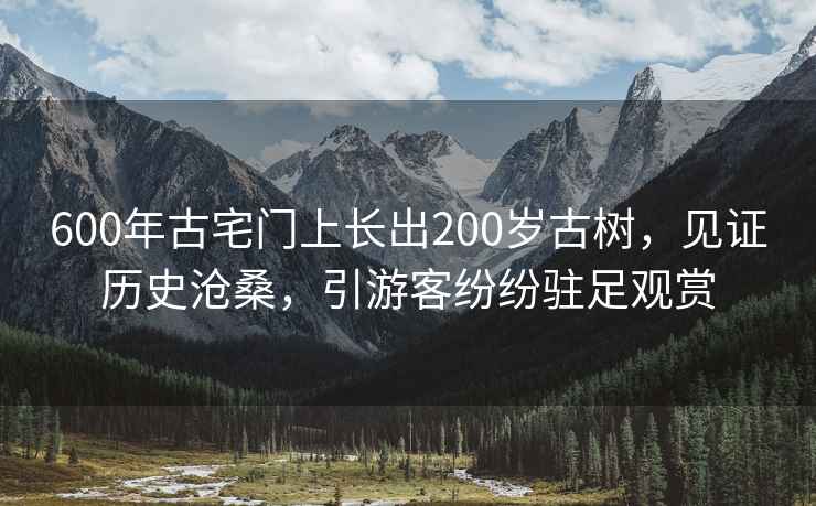 600年古宅門(mén)上長(zhǎng)出200歲古樹(shù)，見(jiàn)證歷史滄桑，引游客紛紛駐足觀賞