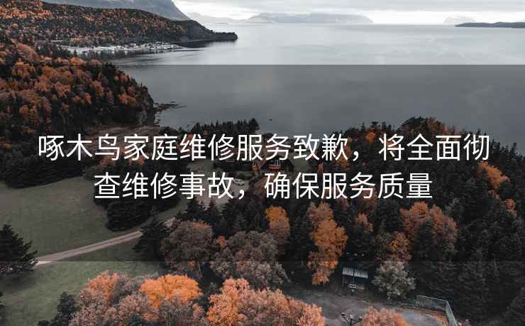 啄木鳥家庭維修服務致歉，將全面徹查維修事故，確保服務質量