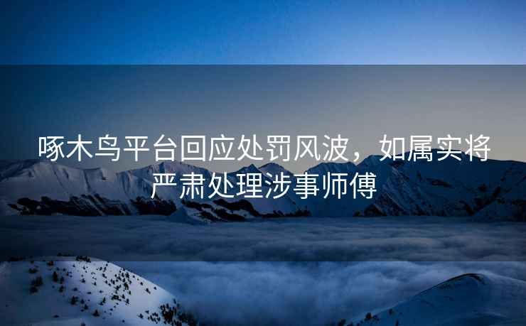 啄木鳥平臺(tái)回應(yīng)處罰風(fēng)波，如屬實(shí)將嚴(yán)肅處理涉事師傅