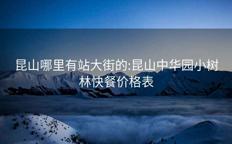 昆山哪里有站大街的:昆山中華園小樹林快餐價格表