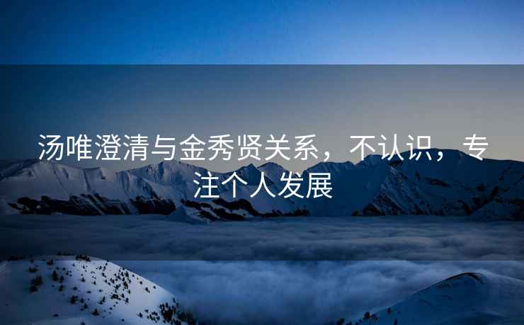 湯唯澄清與金秀賢關系，不認識，專注個人發展
