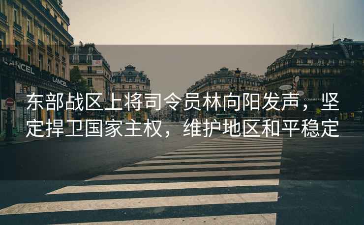 東部戰(zhàn)區(qū)上將司令員林向陽發(fā)聲，堅(jiān)定捍衛(wèi)國(guó)家主權(quán)，維護(hù)地區(qū)和平穩(wěn)定