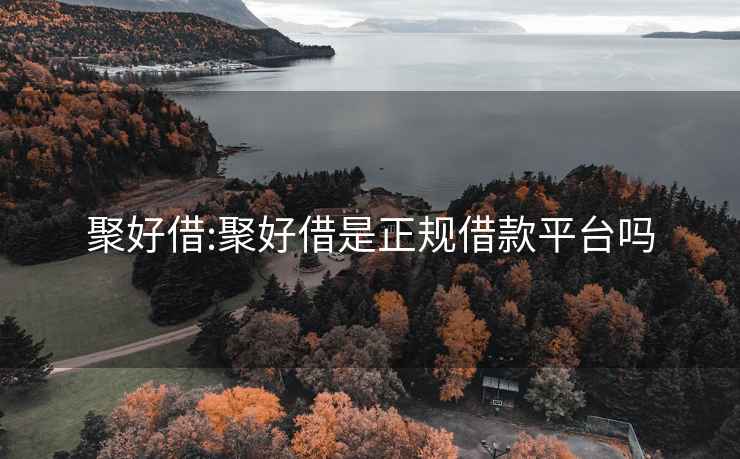 聚好借:聚好借是正規(guī)借款平臺嗎