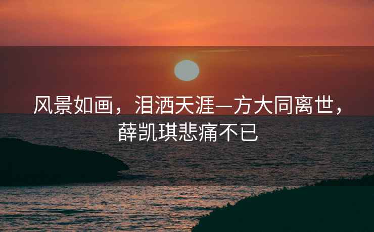 風(fēng)景如畫，淚灑天涯—方大同離世，薛凱琪悲痛不已