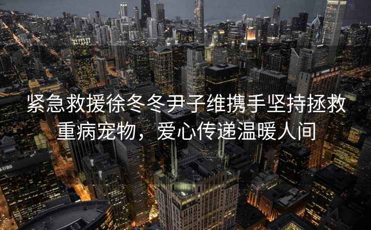 緊急救援徐冬冬尹子維攜手堅持拯救重病寵物，愛心傳遞溫暖人間