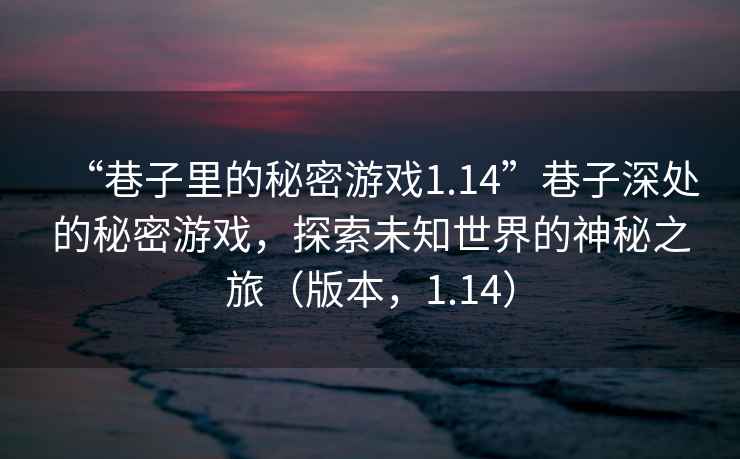 “巷子里的秘密游戲1.14”巷子深處的秘密游戲，探索未知世界的神秘之旅（版本，1.14）