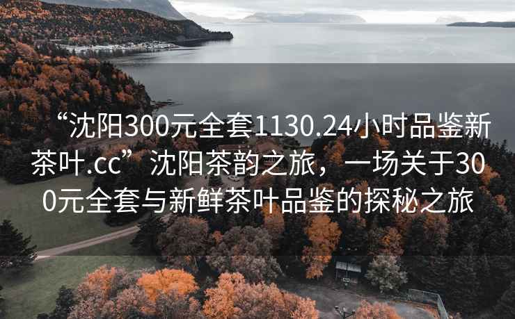 “沈陽300元全套1130.24小時品鑒新茶葉.cc”沈陽茶韻之旅，一場關于300元全套與新鮮茶葉品鑒的探秘之旅