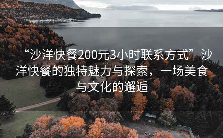 “沙洋快餐200元3小時聯系方式”沙洋快餐的獨特魅力與探索，一場美食與文化的邂逅