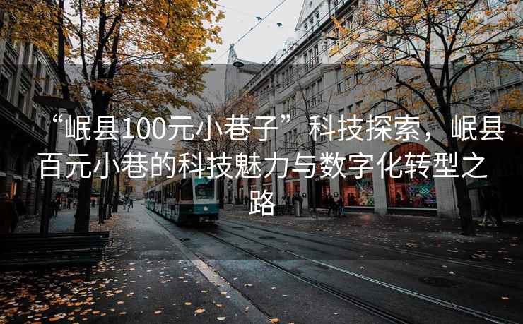 “岷縣100元小巷子”科技探索，岷縣百元小巷的科技魅力與數字化轉型之路