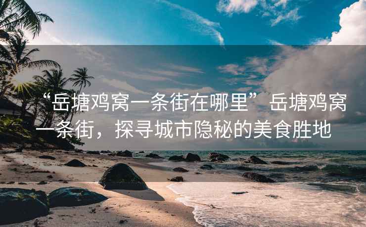 “岳塘雞窩一條街在哪里”岳塘雞窩一條街，探尋城市隱秘的美食勝地