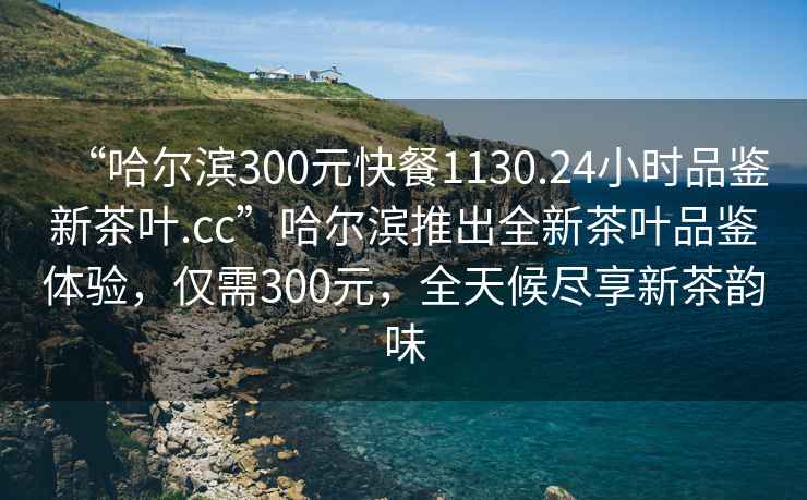 “哈爾濱300元快餐1130.24小時(shí)品鑒新茶葉.cc”哈爾濱推出全新茶葉品鑒體驗(yàn)，僅需300元，全天候盡享新茶韻味