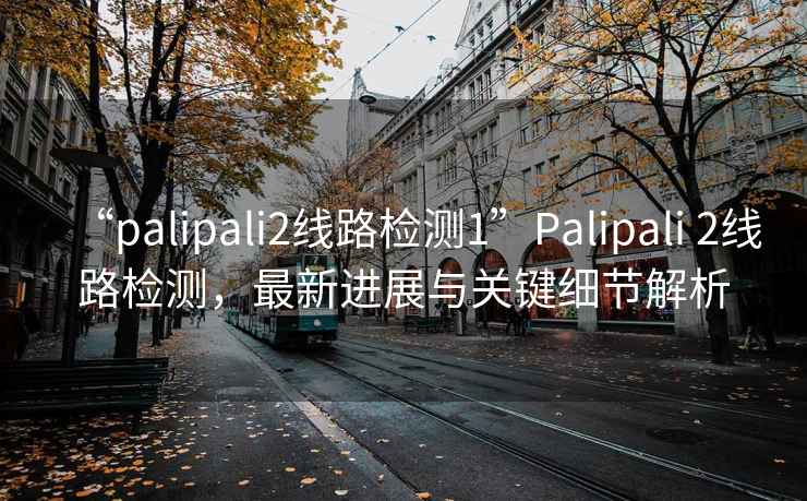 “palipali2線路檢測(cè)1”P(pán)alipali 2線路檢測(cè)，最新進(jìn)展與關(guān)鍵細(xì)節(jié)解析