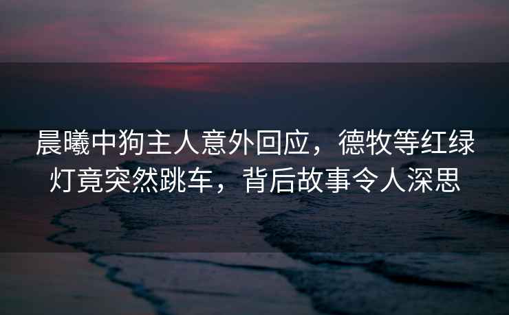 晨曦中狗主人意外回應，德牧等紅綠燈竟突然跳車，背后故事令人深思