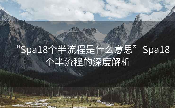 “Spa18個半流程是什么意思”Spa18個半流程的深度解析