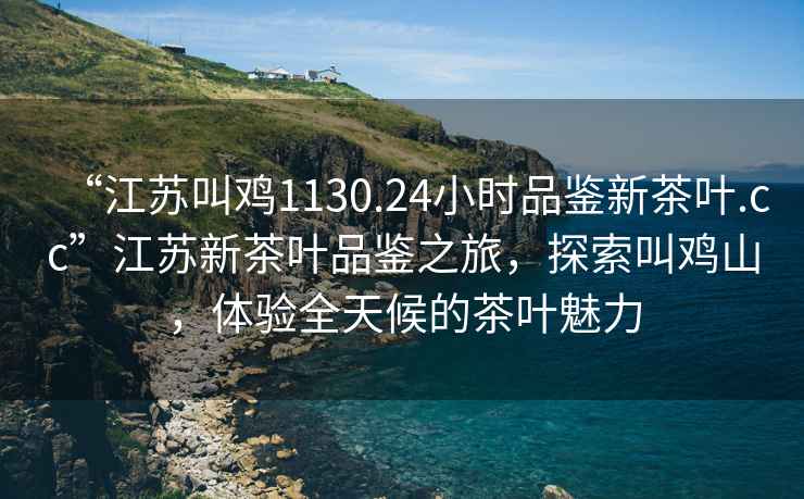 “江蘇叫雞1130.24小時品鑒新茶葉.cc”江蘇新茶葉品鑒之旅，探索叫雞山，體驗全天候的茶葉魅力