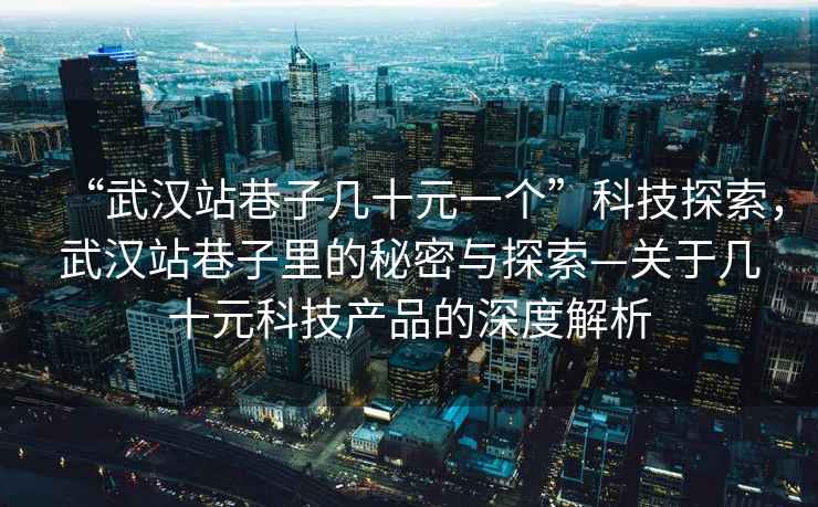 “武漢站巷子幾十元一個”科技探索，武漢站巷子里的秘密與探索—關于幾十元科技產品的深度解析