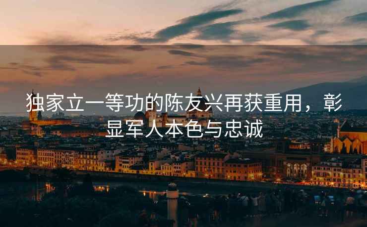 獨(dú)家立一等功的陳友興再獲重用，彰顯軍人本色與忠誠(chéng)