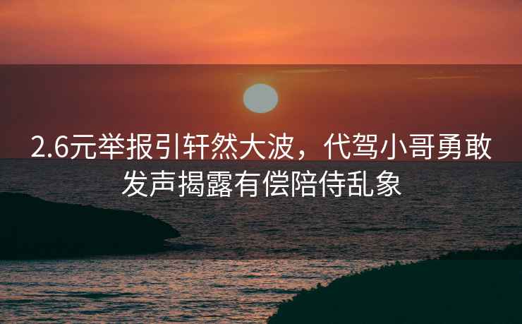 2.6元舉報引軒然大波，代駕小哥勇敢發聲揭露有償陪侍亂象