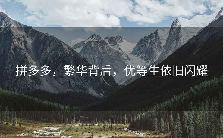 拼多多，繁華背后，優等生依舊閃耀