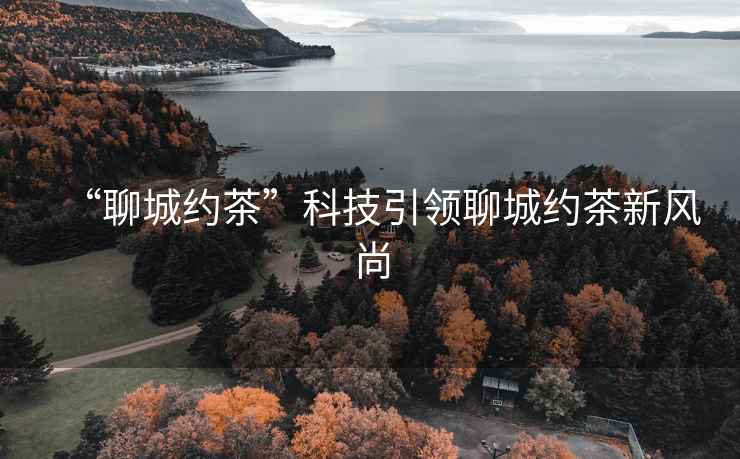 “聊城約茶”科技引領聊城約茶新風尚